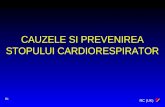 Cauze si prevenire stopului cardiorespirator.ppt