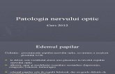 10.Patologia nervului optic.ppt