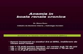 Anemia BRC 2016