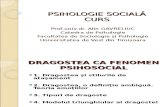 Psihologie Sociala Gavreliuc 8 Dragostea CA Fenomen Psiho Social2