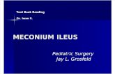 ileus meconium2