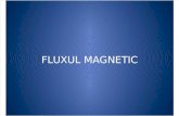 Fluxul Magnetic Fizica