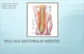 Boli Ale Sistemului Nervos