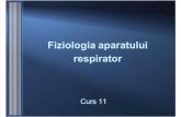 Respirator 11