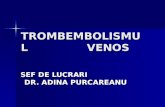 Curs 18-Tromboembolismul Venos