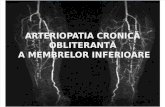 Arteriopatia Cronica Obliteranta a Membrelor Inferioare