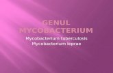 Genul Mycobacterium
