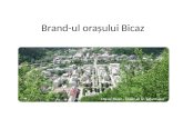 Brand-ul Oraşului Bicaz