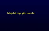 Muschi Cap, Gat Trunchi