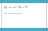 11C Caiet Virtual de Chimie (1)