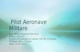 Pilot Aeronave