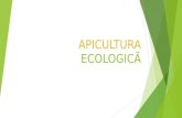 Apicultura Ecologica