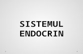 ATT 1428582768083 Sistemul Endocrin (1)