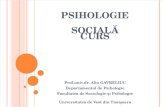 Psihologie Sociala Gavreliuc 1 Identitatea Psihologiei Sociale2