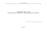 Comportament-organizational (1).pdf