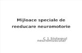 C 1 Sistemul Neuromuscular