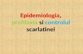 Epidemiologia, Profilaxia Si Controlul Scarlatinei