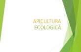 Apicultura Ecologica  - 2015