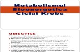Metabolismul 1ciclu-Krebs (1)