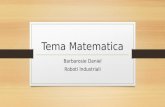 Tema Matematica