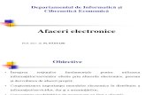 AE IE 1 Introducere