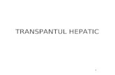 Transplantul Hepatic