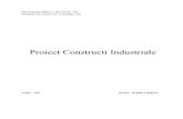 Proiect Construcții industriale