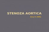 CHIRURGIE TORACICA Plan de lectie 6-curs STENOZA   AORTICA.pptx