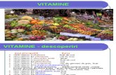 Curs Vitamine 2011 1