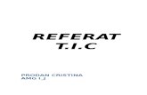 258170223 Referat Tic Prodan Cristina