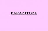 PARAZITOZE (1).ppt