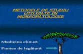 73228406 Metodele de Studiu Utilizate in Morfopatologie