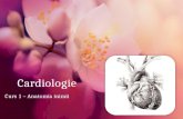 Cardiologie Curs 1 - Anatomia Inimii