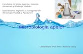 Microbiologia apelor
