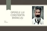Operele Lui Constantin Brâncuși