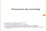 1 .Procesul de  Nursing 08.01.2014-CURSUL -I-.ppt
