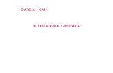 Geologia Romaniei - Curs x. Orogenul Carpatilor Orientali, Cm-1