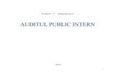 Audit Public Intern 2015