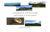 Grupa Centrala a Carpatilor Orientali