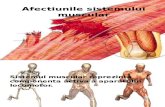 Afectiunile Sistemului Muscular