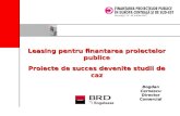 Bogdan Cernescu - Finantarea proiectelor publice