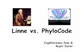 Linne vs Phylocode