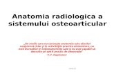 Anatomia Radiologica a Oaselor