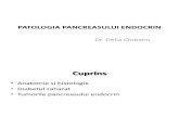 patologia pancreasului endocrin.pdf