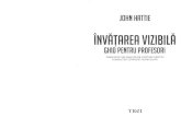 Cap.VII_J.Hattie, Invatarea vizibila, Importanta feedback-ului.pdf