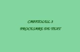 ECDL Cap. 3 - Procesare Text - Andreea