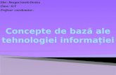 Concepte de Baza Ale Tehnologiei Informatiei - Neagoe Ionela Denisa