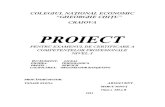 Proiect banchet(1).doc