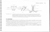 271472611 Anatomie Si Fiziologie Umana Pentru Admitere La Facultatile de Medicina Barron s p3