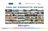 Publicatii 100 Proiecte Regio